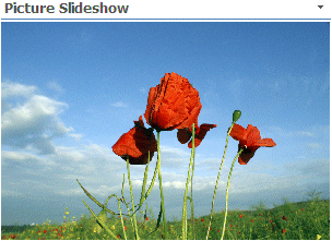 Sharepoint Picture Slideshow Web Part